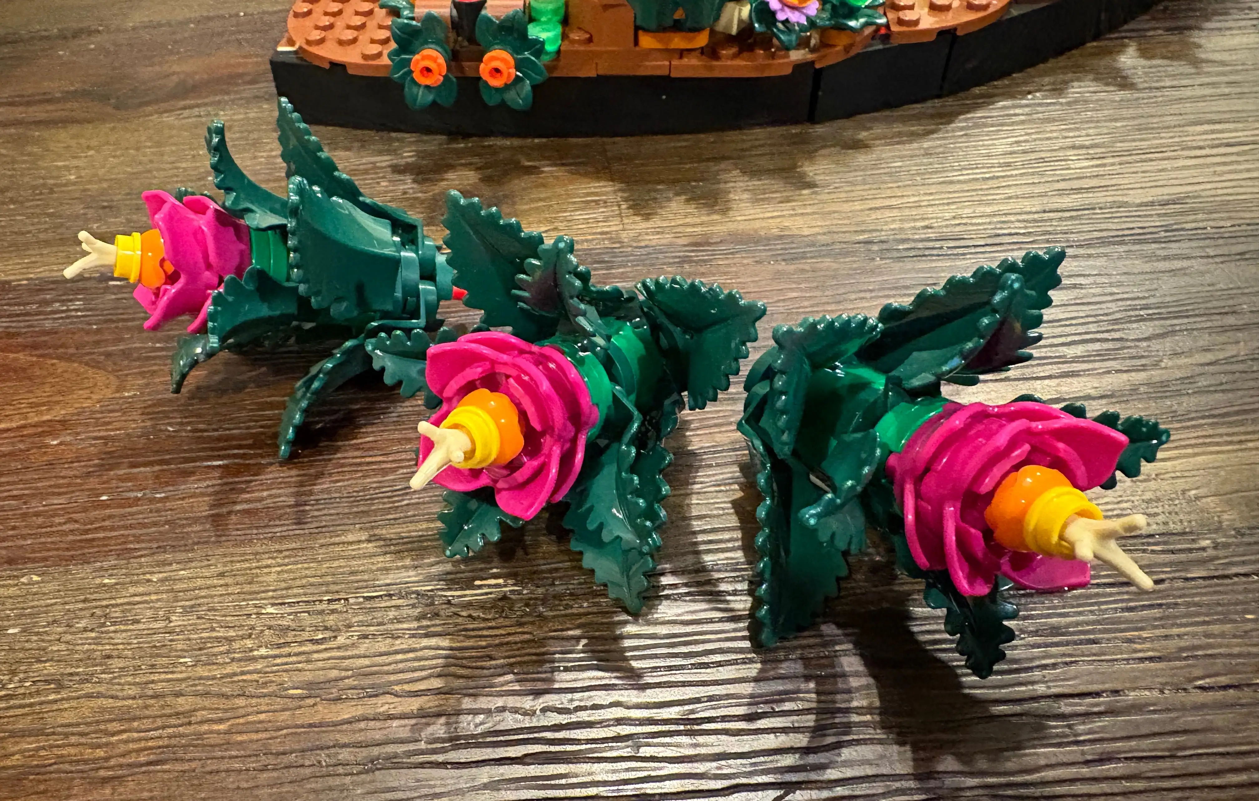 亚冬会第九,届盛大开幕,共筑冰雪梦,中国体彩,中国竞猜官网,中国体育竞猜平台,中国足球牛博网彩票网